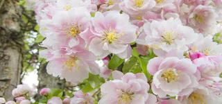 淘宝背景图高清