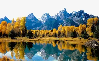 山川间的胡杨林免抠