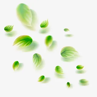 清新小花卡通插画4免抠