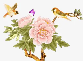 富贵牡丹 工免抠