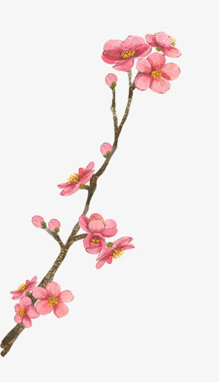 彩绘植物红色桃花免抠