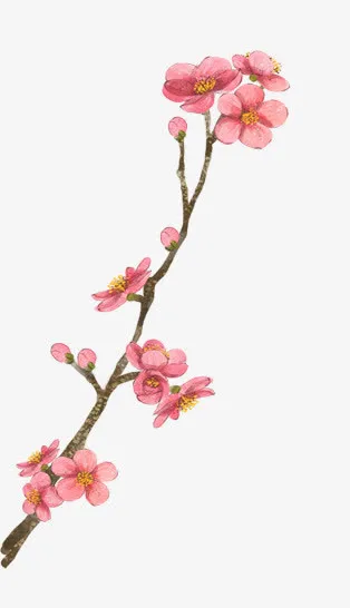 彩绘植物红色桃花免抠