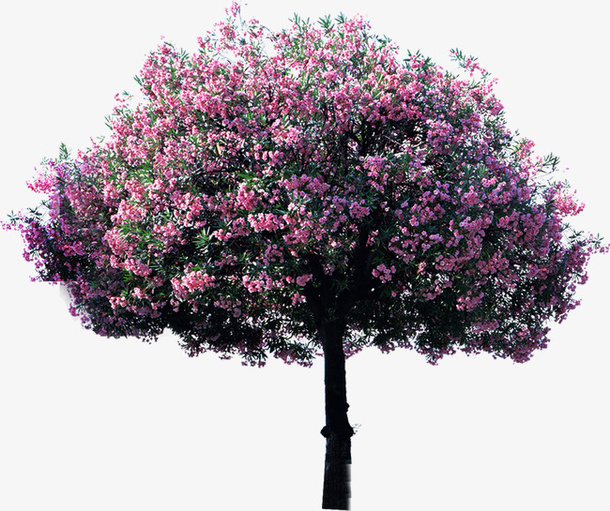 花免抠
