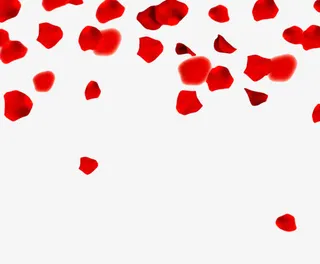 飘散的玫瑰花瓣免抠