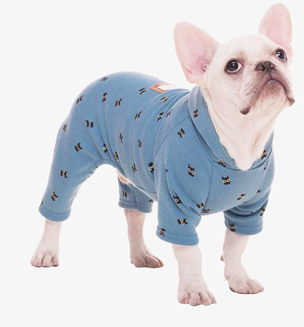 狗狗宠物斗牛犬可爱小狗小犬免抠