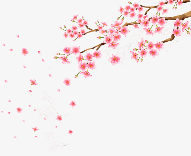 梅花 树枝 手绘免抠