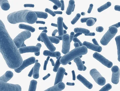 天蓝色虫形微生物免抠 天蓝色虫形微生物免抠