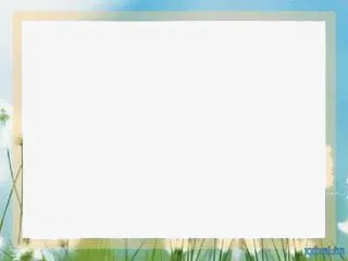 蒲公英边框免抠