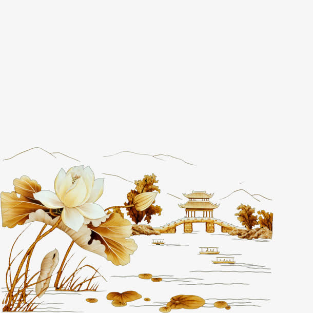 静物花免抠