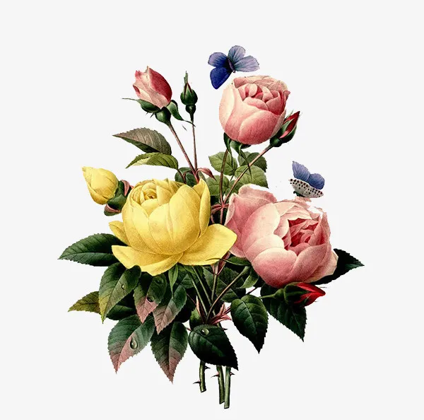手绘玫瑰花 油画免抠动植物植物元素