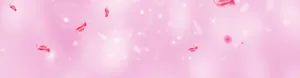 淘宝banner