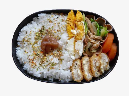 鸡排胡萝卜盖饭免抠