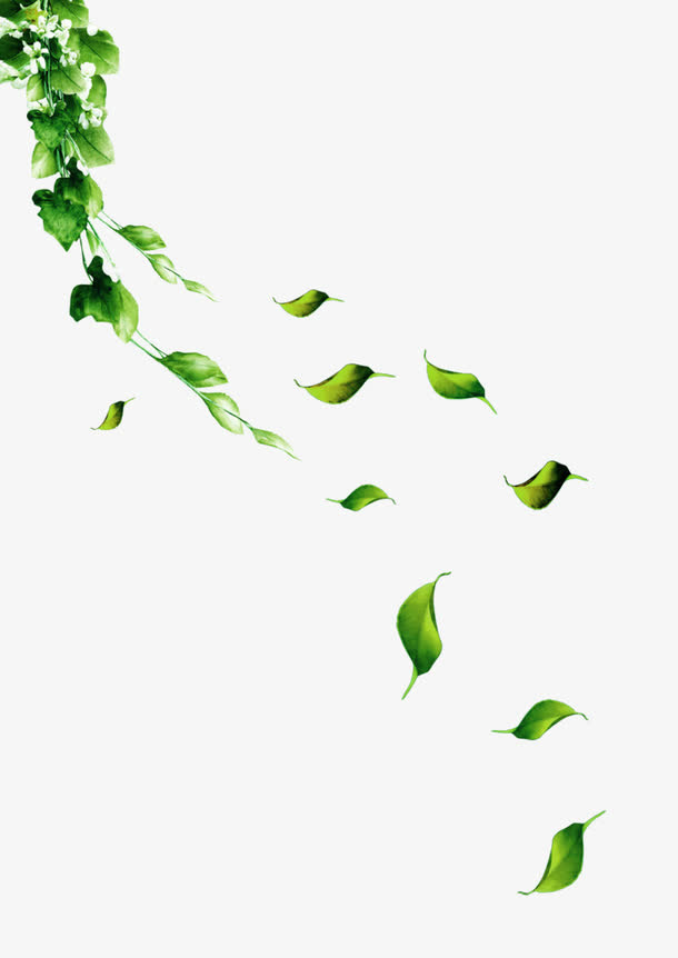 绿色清新树叶漂浮素材免抠