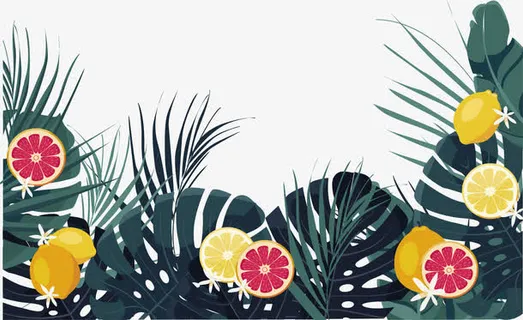 夏日植物装饰边框免抠