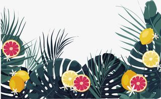 夏日植物装饰边框免抠