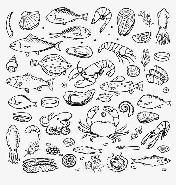各种海鲜类食物免抠