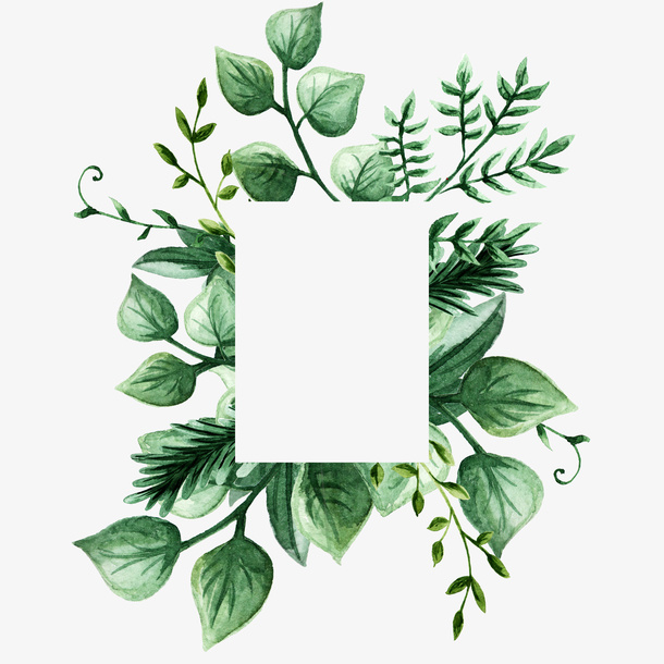 绿色手绘的树叶边框免抠