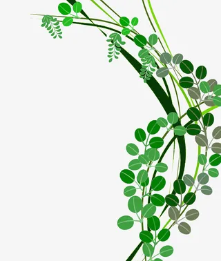 春 叶装饰免抠