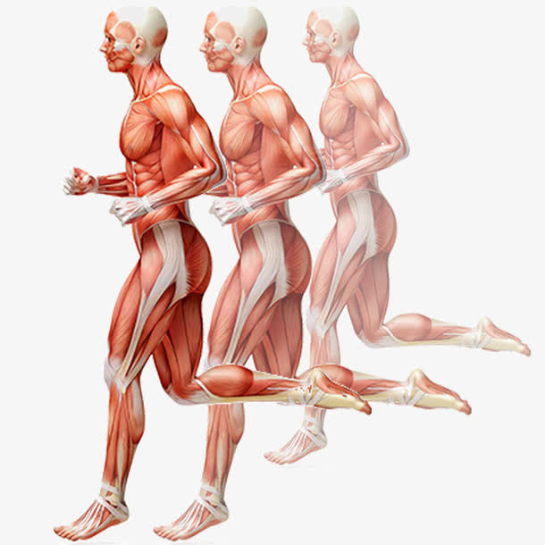 跑步不规则图形人体设计素材免抠