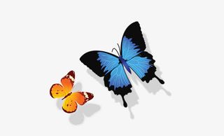 商场超市店铺喜迎店庆免抠