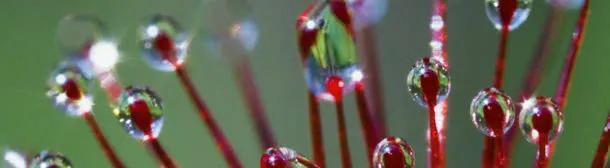 清新背景设计素材图片下载桌面壁纸