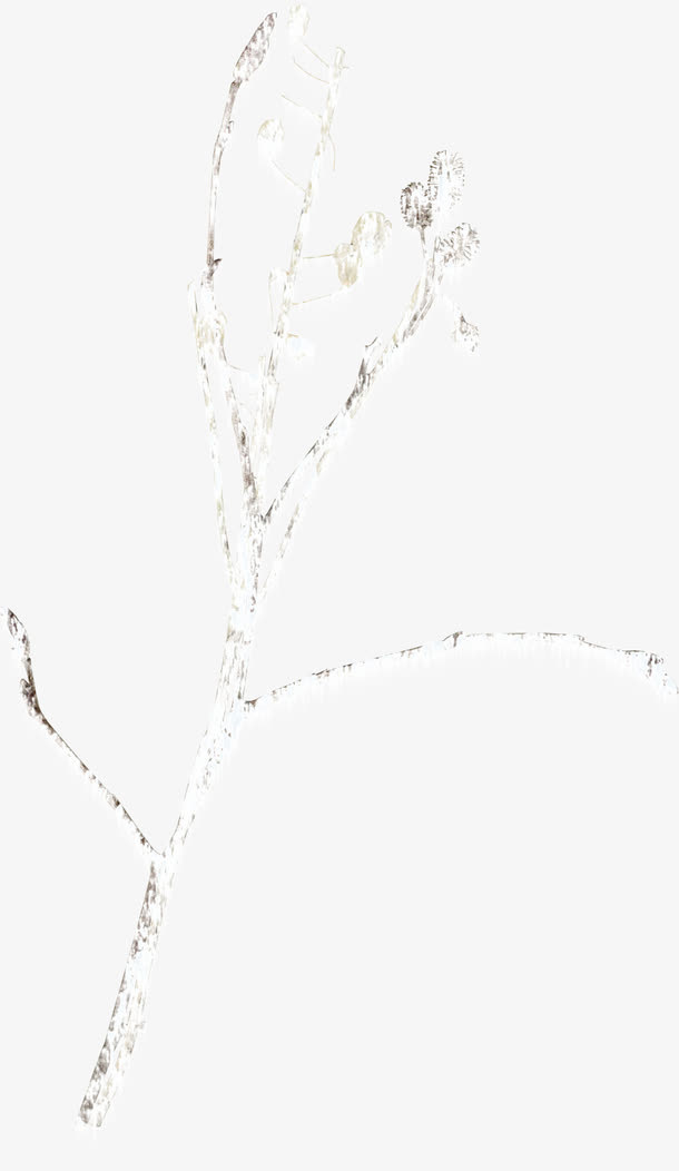 飘雪花朵树枝免抠