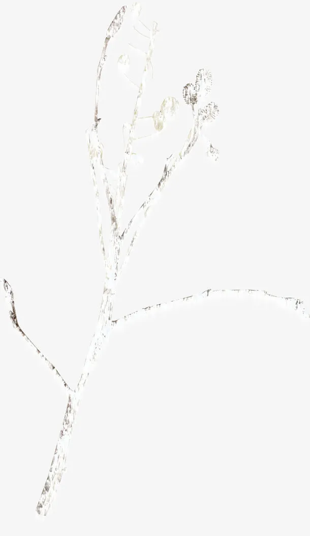 飘雪花朵树枝免抠