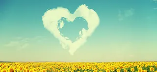 风景蓝天爱心向日葵背景高清