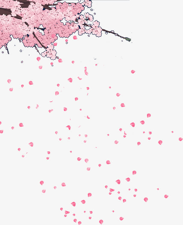 掉落的花瓣素材图片免抠