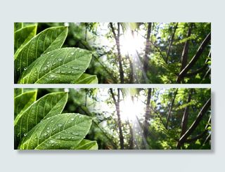 绿叶背景海报高清
