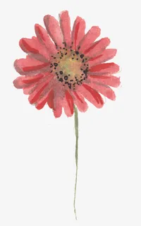 清新淡雅小碎花瓣小花免抠