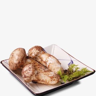 野生新鲜松茸免扣免抠