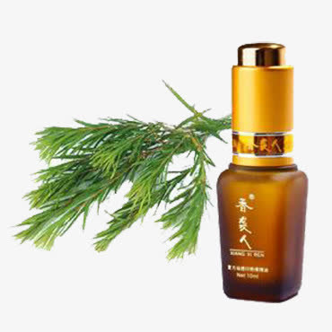 香袭人茶树精油免抠