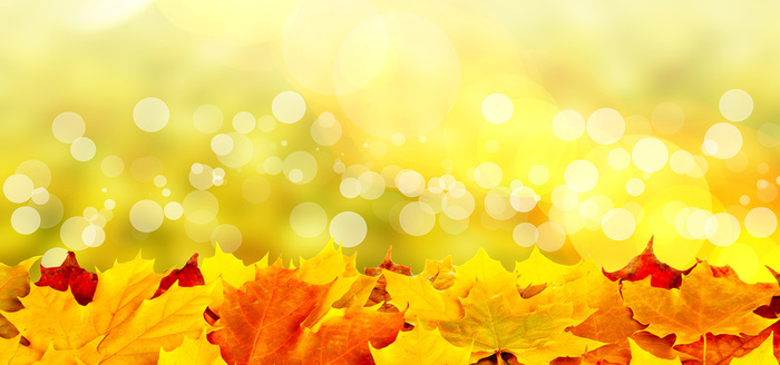 微距摄影背景高清