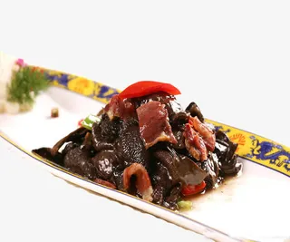 海参牛肝菌免抠