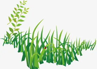 绿色的草丛矢量素材免抠