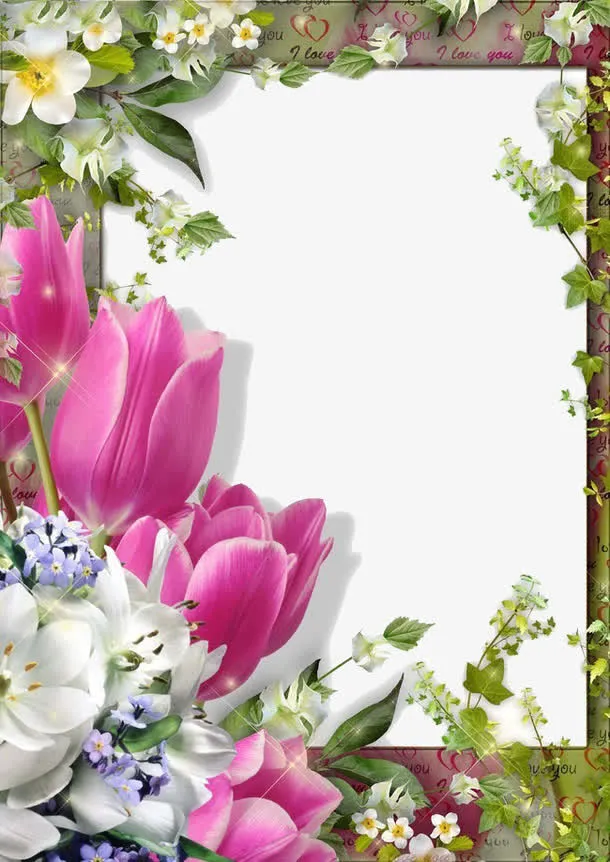 郁金香花边框免抠