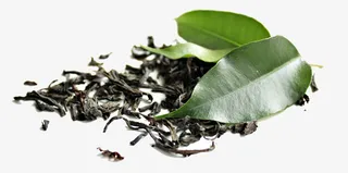 普洱茶叶素材图片免抠