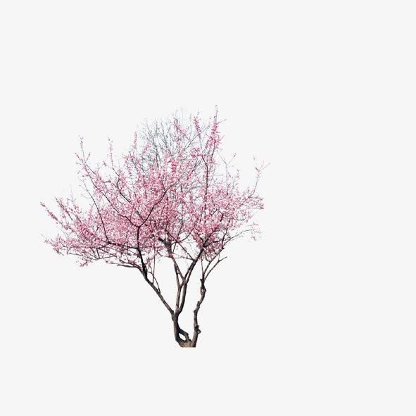 桃花免抠