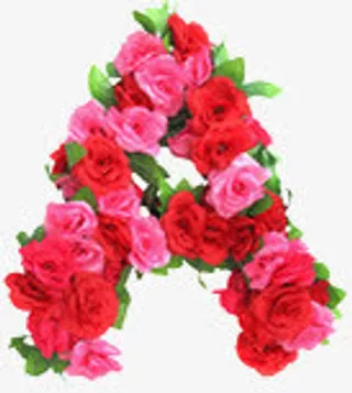 英文字母花朵免抠