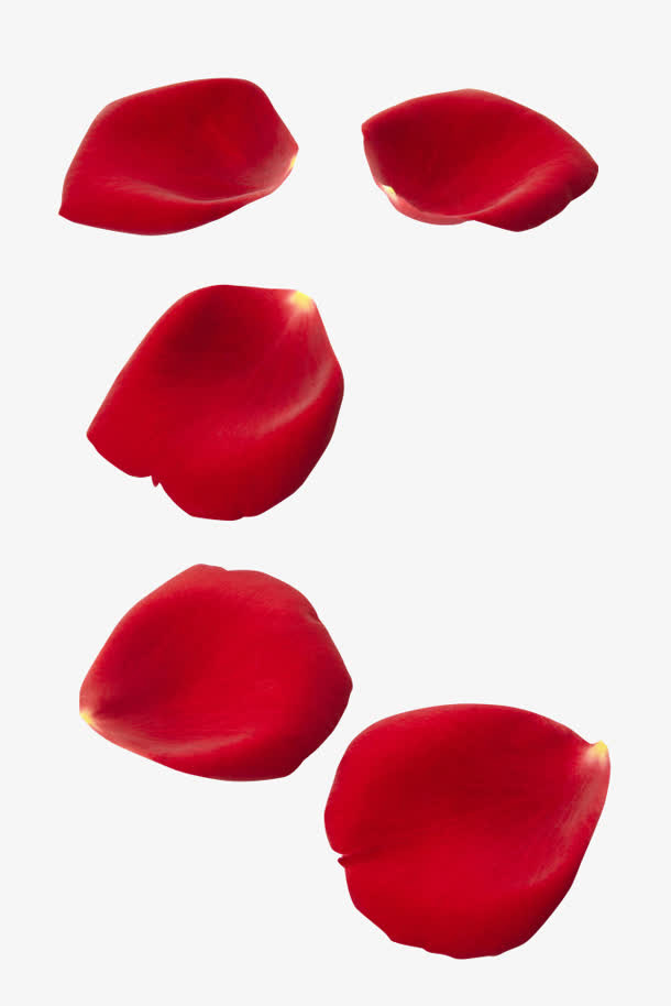 玫瑰花瓣大集合免抠