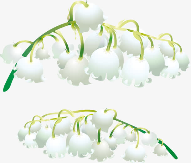 铃兰花免抠