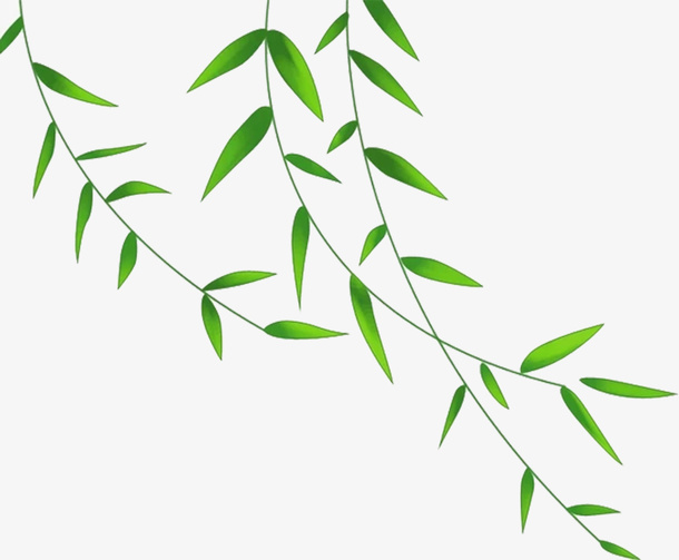 绿色春季清新柳条免抠