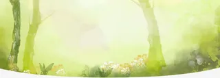 梦幻树林背景