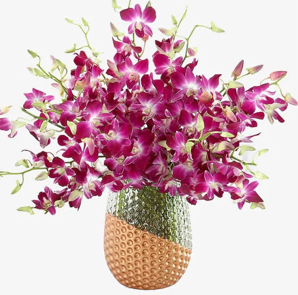 精美的花瓶装石斛花花束免抠
