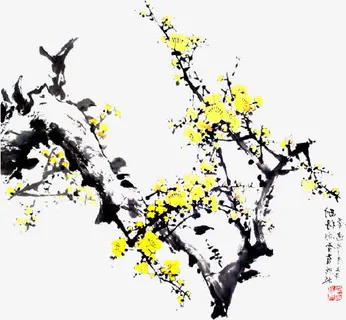 中国风梅花免抠
