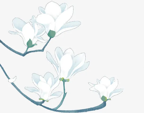 白色装饰花PNG免抠