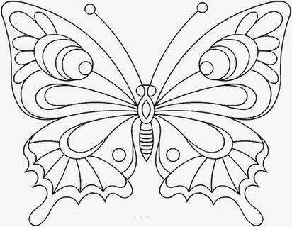 美丽的展翅的蝴蝶免抠