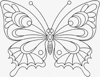 美丽的展翅的蝴蝶免抠