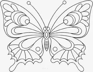 美丽的展翅的蝴蝶免抠